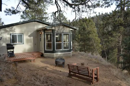 Forest cabin on 4 acres,  Newly renovated, Quiet and secluded.
