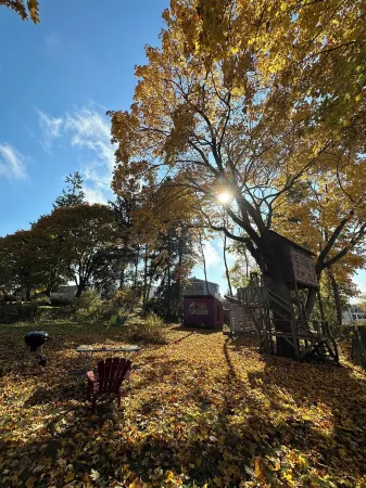 Captain's Quarters 1Br Apartment. Walk to Everything.