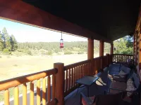 Cozy Cabin at Enchanted Wood 021896