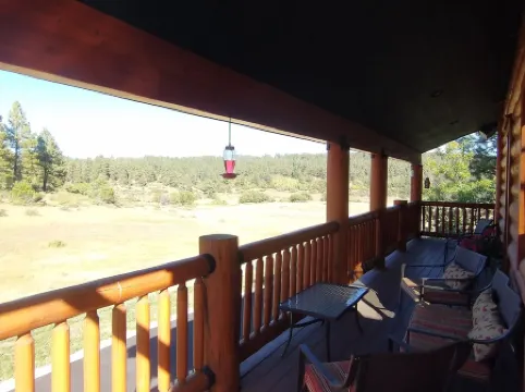 Cozy Cabin at Enchanted Wood 021896