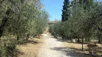 In Chianti along the Francigena - La Voliera Country House Hotels near Chiesa di San Lorenzo a Le Corti