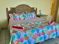 FABULOUS! So close you can taste the ocean - Amazing NEWLY RENOVATED  condo !