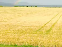 Askø Bed & Breakfast