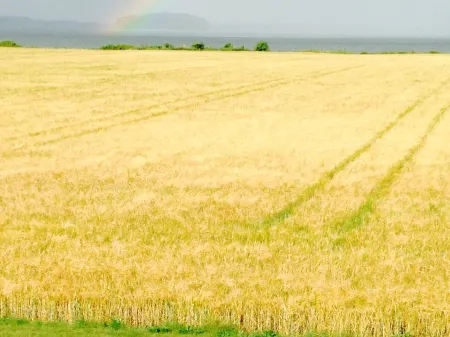 Askø Bed & Breakfast