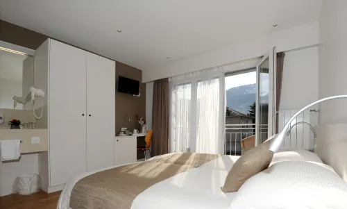 Hôtel Elite Hotels in Sion