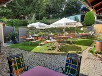 Landgasthof Grüner Baum Hotels in Hof