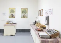 Albergue Inturjoven Granada