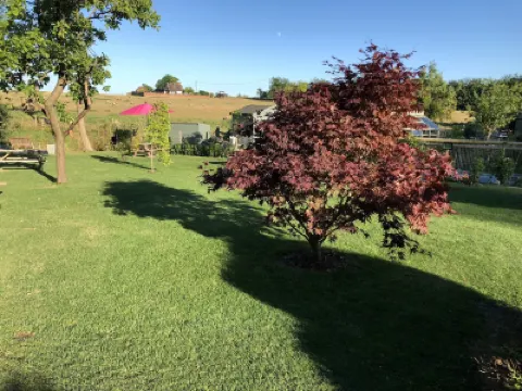 Tonge Barn Hotels in 