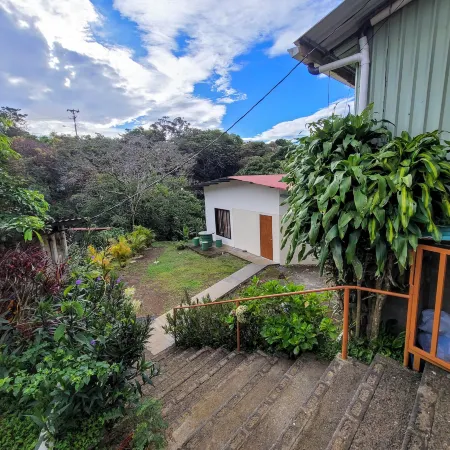 Cabinas Selva Verde