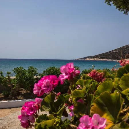 Pension Ageliki Sifnos