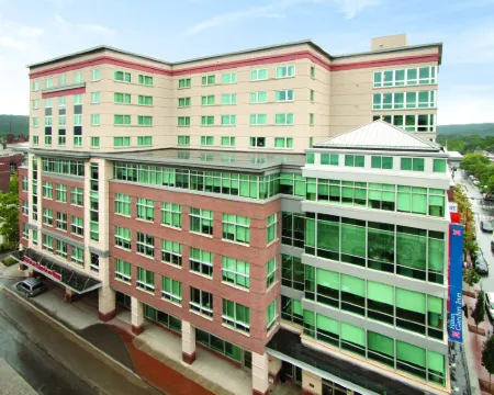 ヒルトン ガーデン イン イサカ イサカのホテル