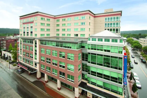 Hilton Garden Inn Ithaca Hotels in Ithaca