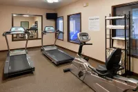Holiday Inn Express & Suites KINGMAN by IHG - Gym