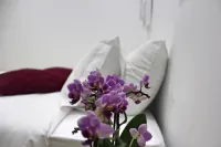 Nine Senses Hotel di Torreira