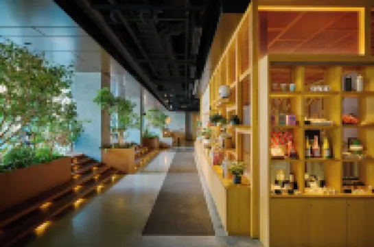 OMO5 Kumamoto by Hoshino Resorts