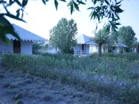 Jawai Bera Leopard Camp Hotels in Bera