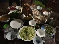 Freedom Homestay Hotels in Hau Thao