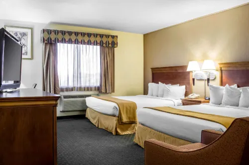 퀄리티 인 위켄버그