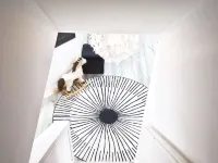 Ivy Den Hotels in Oakville