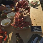 Cozy Mountainview Bungalow. French Fishing Village. Whale Watching tours. Hotels in Inverness County