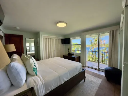 Stunning Estate on almost 2 acres with down island views of St John and the BVI Hotels in Frydendal