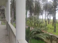 4 Bed Villa-Sleeps 8-Parking-Garden-Sea View Hotels in Ureki