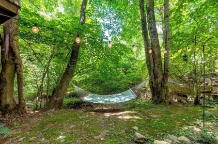 Cozy Cabin in the Woods Hammock Private