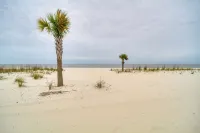 Walk to Beach: Gulfport Retreat w/ Patio - Condos