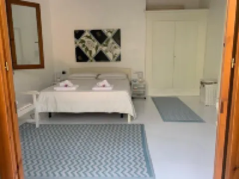 The dependance in the Bosco