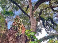 The Boutique Guest House Hotels in Golden Glades