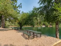 Cozy studio cabin in Arnold California with WiFi, AC Hotels in Arnold
