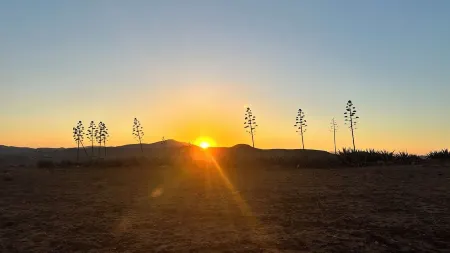 Large apartment with Rooftop in a private, secure, family-friendly building!