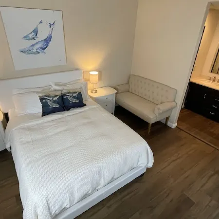 Modern Oasis -  Pool, Spa, Great Location