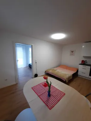 Vacation apartment Mergel in Black Forest Hotels in Zell im Wiesental