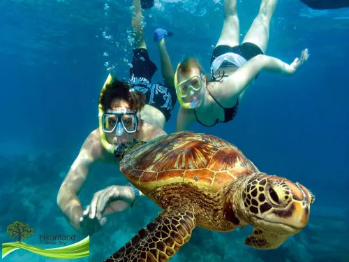 A real African bush experience with the perfect blend of home comforts. Hotels in Emangusi