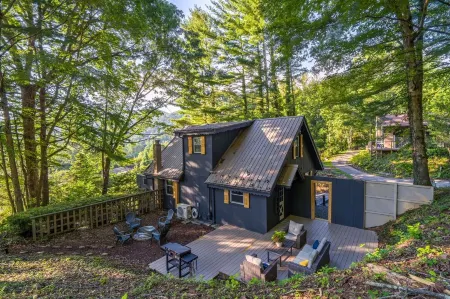 Renovated chalet just a walk down the hill to downtown Burnsville! Pet Friendly