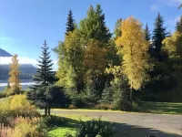 Lynx, wildlife, custom log cabin . private lake access, salmon stream kayaking, 무스패스 호텔