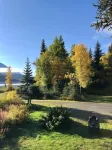 Lynx, wildlife, custom log cabin . private lake access, salmon stream kayaking,