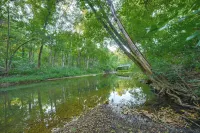 Hot Tub & Creek Views: Secluded Perryville Cabin - Wifi
