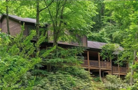 Asheville Mtn Side Cabin-Large Porch-HotTub-Trail-2 Streams-7 Wooded Acres! Отели рядом с достопримечательностью «Бируоллоу Маунтин Трейл»