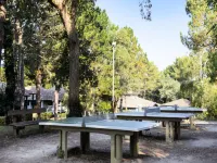 2 Rooms 7 People Comfort