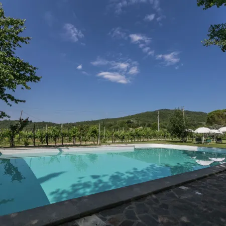 Authentic farmhouse with pool