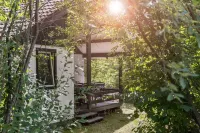 Luxury Villa with Fireplace Near Reservoir in Nordeifel - Villas