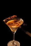 Radisson Blu Pune Hinjawadi - bar