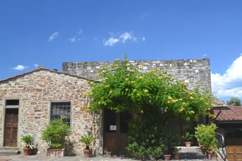 Pleasant Apartment with Swimming Pool Garden BBQ Parking Hotels in Greve in Chianti