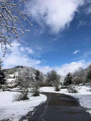 Ferienwohnung Waldblick