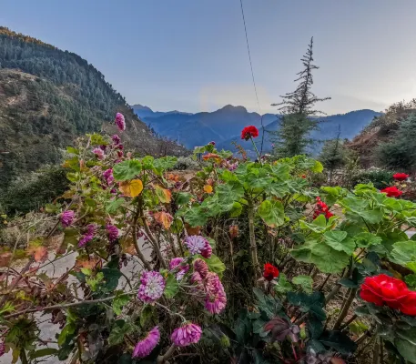 The Void - Tirthan Valley Hotels in Pekhri