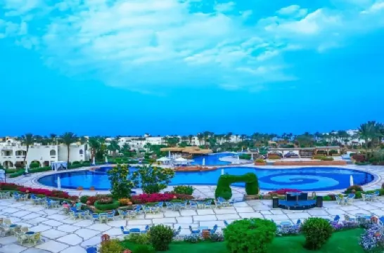 Regency Plaza Aqua Park and Spa Resort Hotels near Dolphina