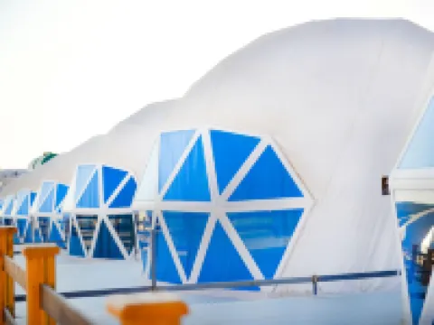 The Rock Camp Petra Hotels in Petra