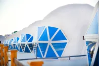 The Rock Camp Petra Hotels in 